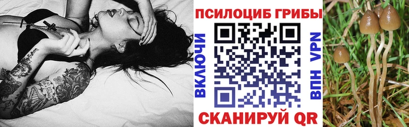 Галлюциногенные грибы мухоморы  Верхоянск 